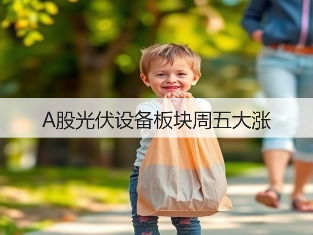 A股光伏设备板块周五大涨(图2)