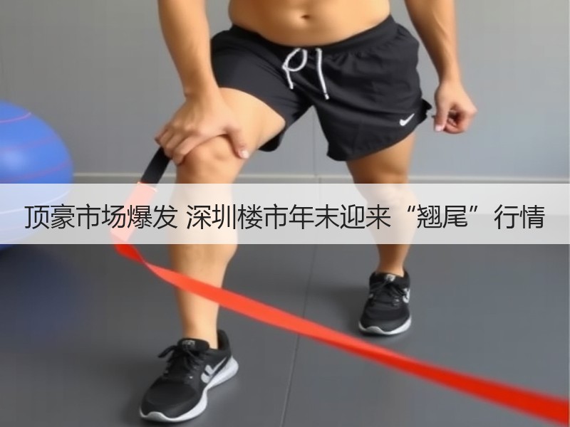 顶豪市场爆发 深圳楼市年末迎来“翘尾”行情