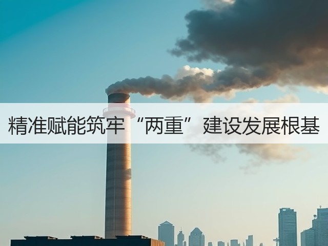 精准赋能筑牢“两重”建设发展根基(图2) 精准赋能筑牢“两重”建设发展根基(图2)