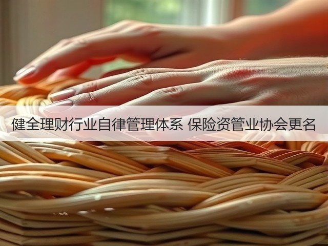 健全理财行业自律管理体系 保险资管业协会更名(图3)