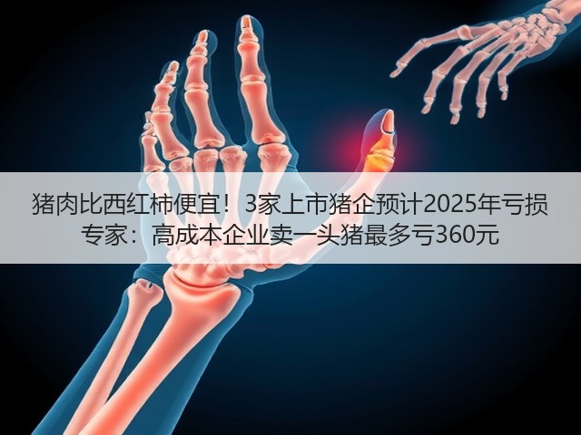 猪肉比西红柿便宜！3家上市猪企预计2025年亏损 专家：高成本企业卖一头猪最多亏360元(图1)