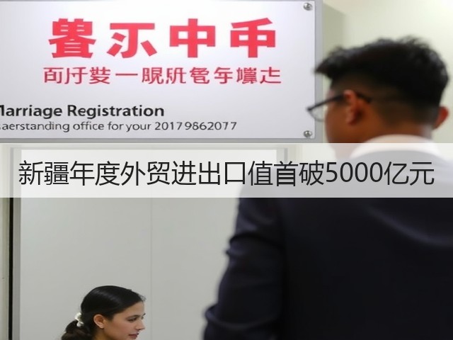 新疆年度外贸进出口值首破5000亿元(图3) 新疆年度外贸进出口值首破5000亿元(图3)