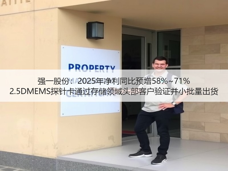 强一股份：2025年净利同比预增58%~71% 2.5DMEMS探针卡通过存储领域头部客户验证并小批量出货
