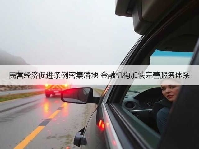 民营经济促进条例密集落地 金融机构加快完善服务体系(图3) 民营经济促进条例密集落地 金融机构加快完善服务体系(图3)