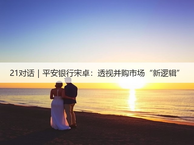 21对话｜平安银行宋卓：透视并购市场“新逻辑”(图2)