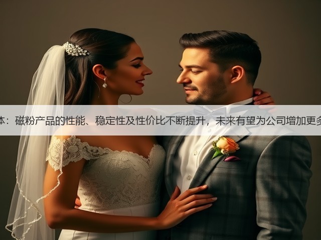 银河磁体:磁粉产品的性能、稳定性及性价比不断提升,未来有望为公司增加更多净利润(图1) 银河磁体:磁粉产品的性能、稳定性及性价比不断提升,未来有望为公司增加更多净利润(图1)