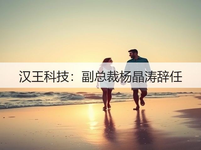 汉王科技:副总裁杨晶涛辞任(图3) 汉王科技:副总裁杨晶涛辞任(图3)