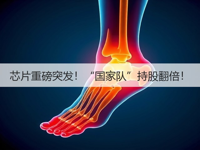 芯片重磅突发！“国家队”持股翻倍！(图1)