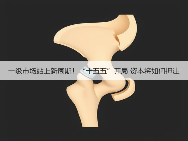 一级市场站上新周期！“十五五”开局 资本将如何押注(图1)