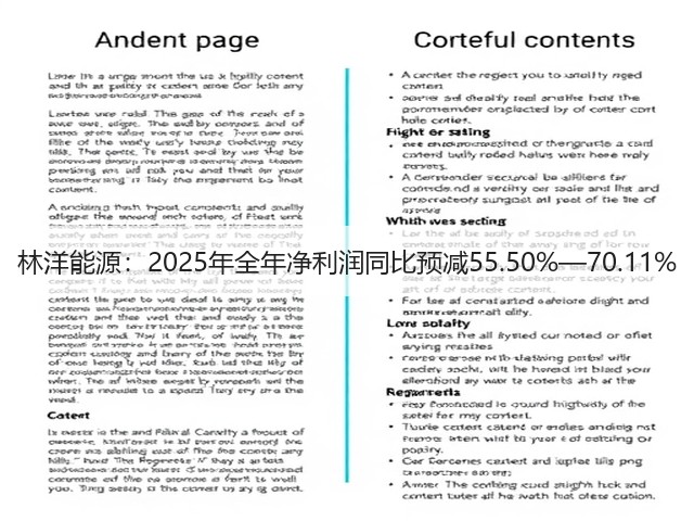 林洋能源:2025年全年净利润同比预减55.50%—70.11%(图2) 林洋能源:2025年全年净利润同比预减55.50%—70.11%(图2)