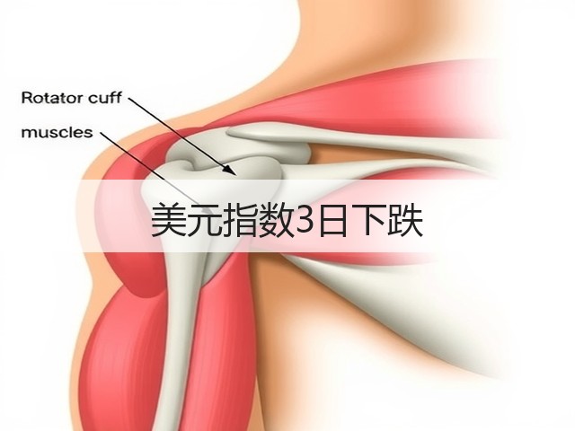 美元指数3日下跌(图3) 美元指数3日下跌(图3)
