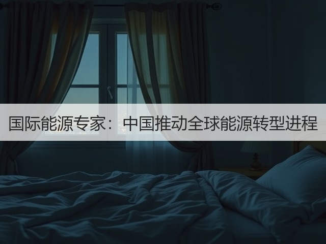 国际能源专家：中国推动全球能源转型进程(图2)