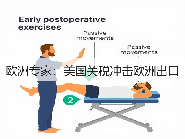 欧洲专家:美国关税冲击欧洲出口(图1) 欧洲专家:美国关税冲击欧洲出口(图1)
