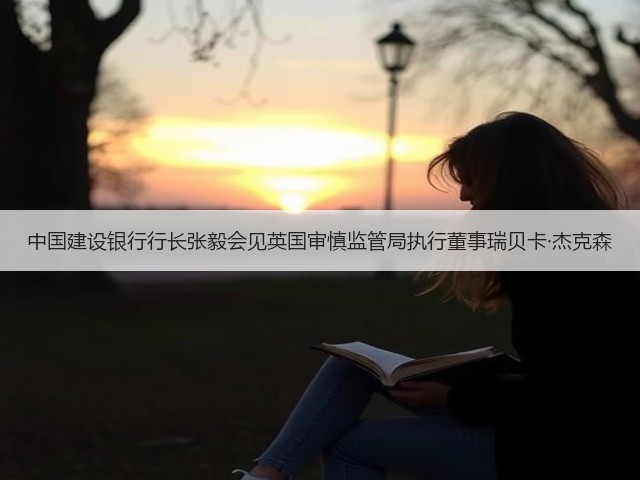 中国建设银行行长张毅会见英国审慎监管局执行董事瑞贝卡·杰克森(图3) 中国建设银行行长张毅会见英国审慎监管局执行董事瑞贝卡·杰克森(图3)