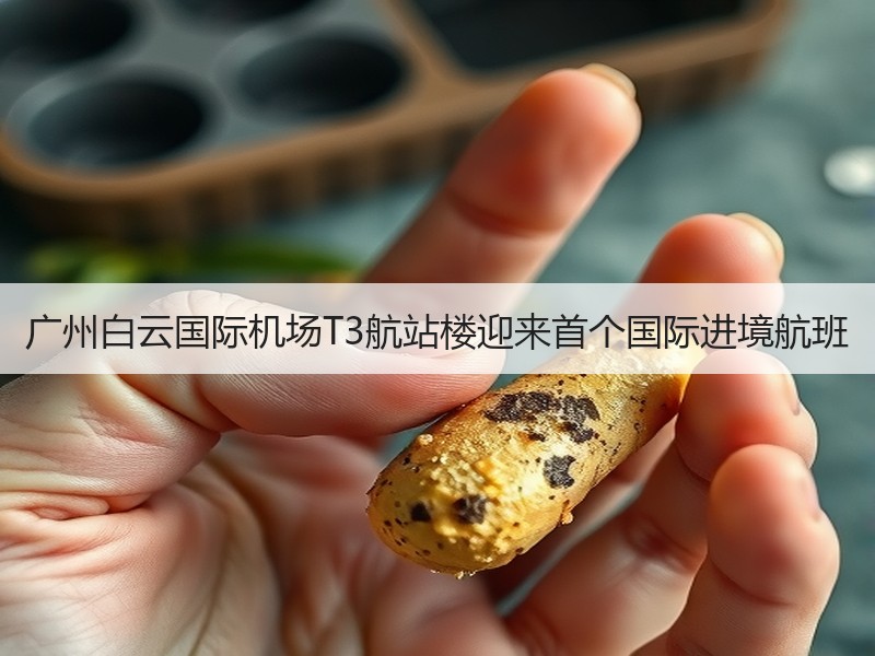 广州白云国际机场T3航站楼迎来首个国际进境航班