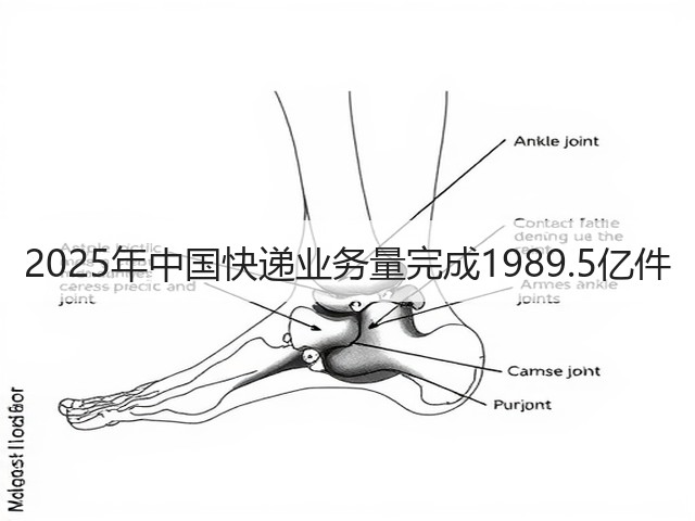 2025年中国快递业务量完成1989.5亿件(图3)
