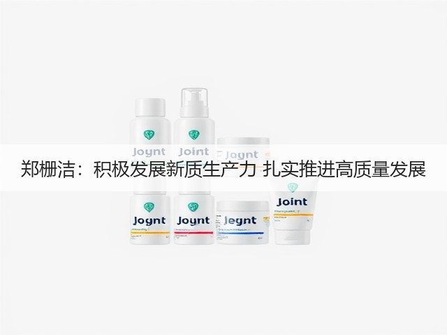 郑栅洁：积极发展新质生产力 扎实推进高质量发展(图3)