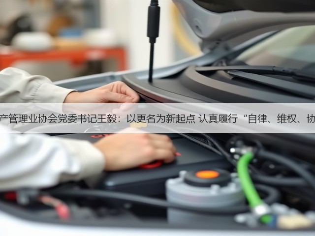 中国银行保险资产管理业协会党委书记王毅：以更名为新起点 认真履行“自律、维权、协调、服务”职能(图3)