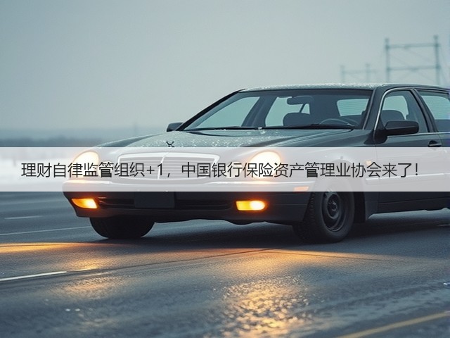 理财自律监管组织+1，中国银行保险资产管理业协会来了！(图3)