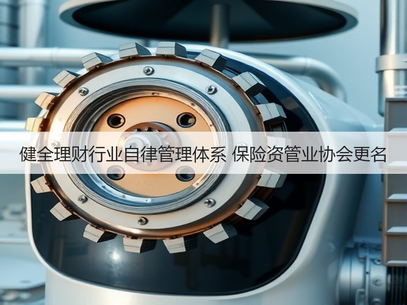 健全理财行业自律管理体系 保险资管业协会更名
