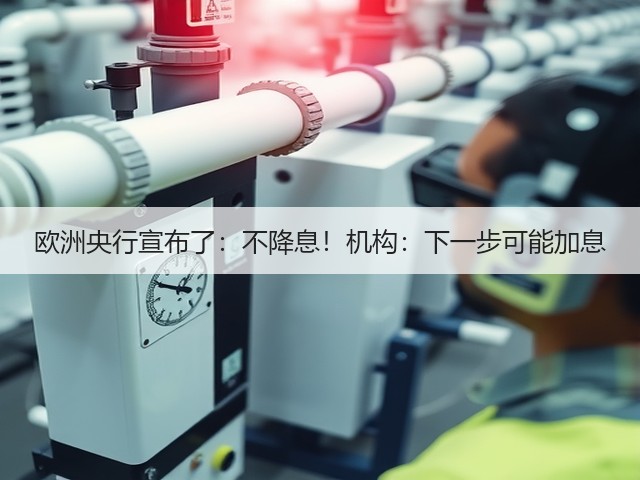 欧洲央行宣布了：不降息！机构：下一步可能加息(图3)