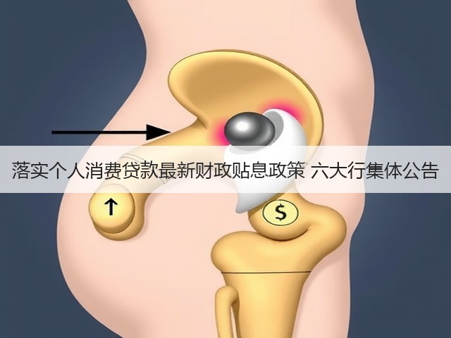 落实个人消费贷款最新财政贴息政策 六大行集体公告(图2)