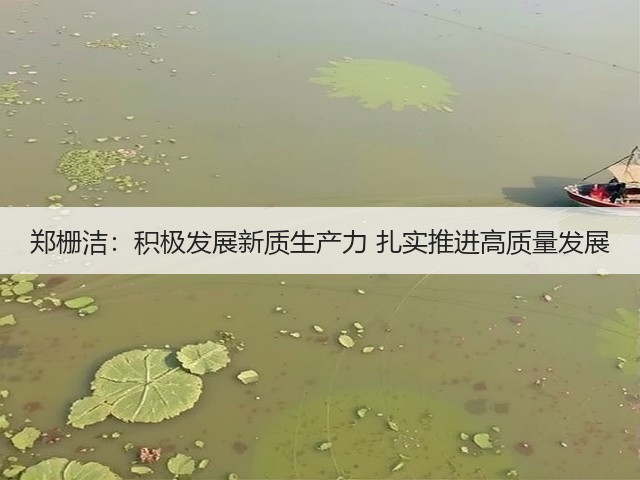 郑栅洁：积极发展新质生产力 扎实推进高质量发展(图1)