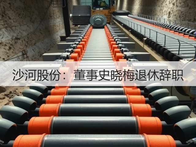沙河股份：董事史晓梅退休辞职(图1)