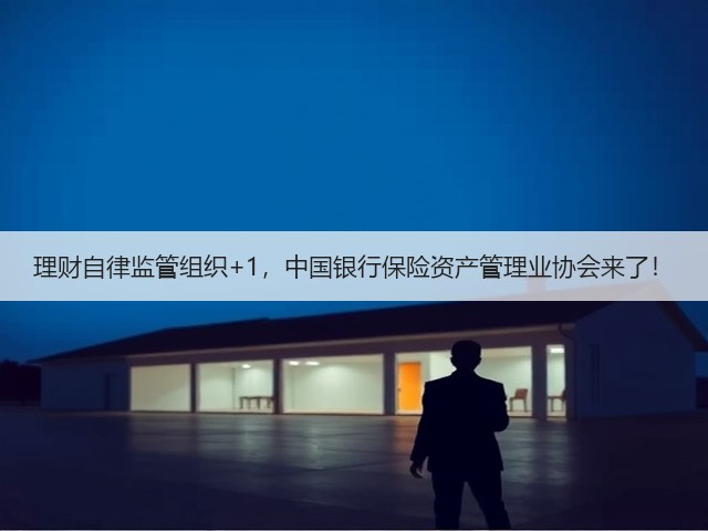 理财自律监管组织+1，中国银行保险资产管理业协会来了！(图1)