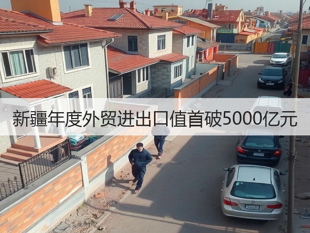 新疆年度外贸进出口值首破5000亿元(图3)