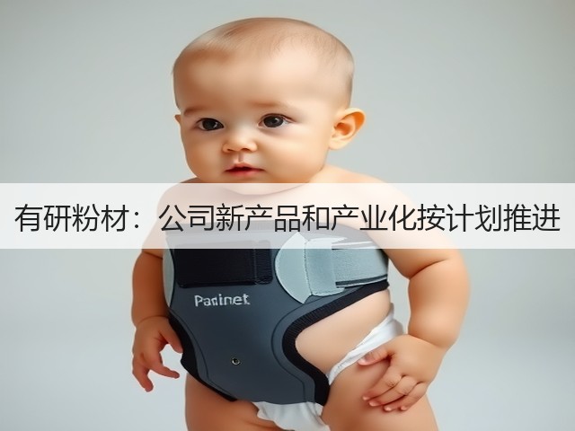 有研粉材：公司新产品和产业化按计划推进(图3)
