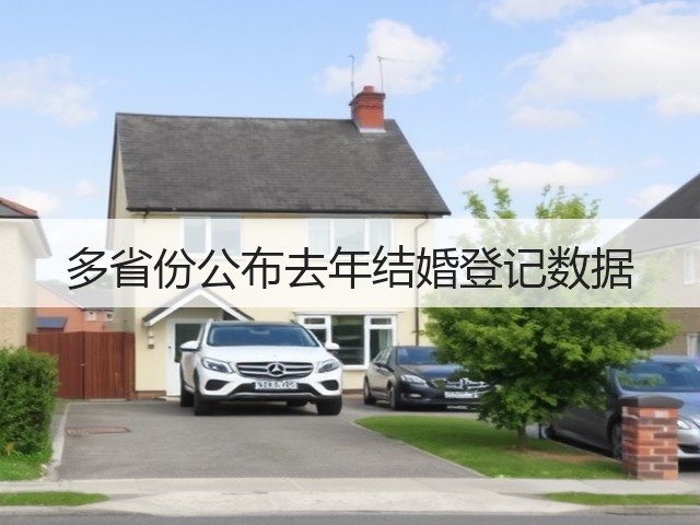 多省份公布去年结婚登记数据(图1) 多省份公布去年结婚登记数据(图1)