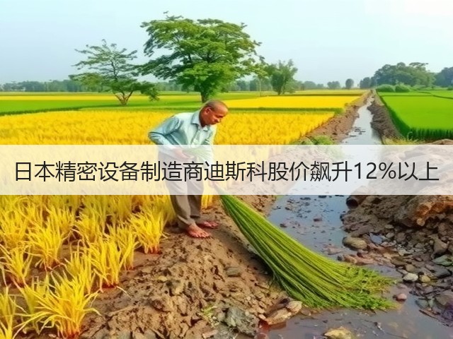 日本精密设备制造商迪斯科股价飙升12%以上(图3)