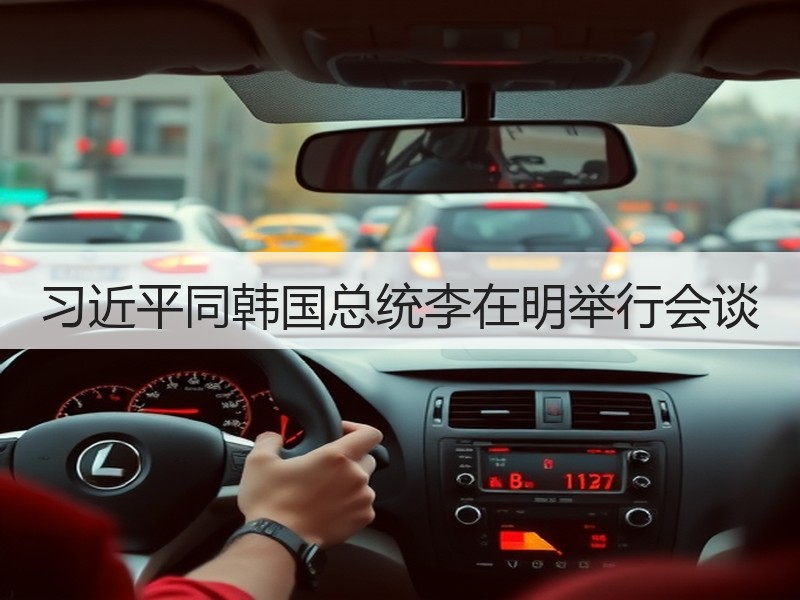 习近平同韩国总统李在明举行会谈