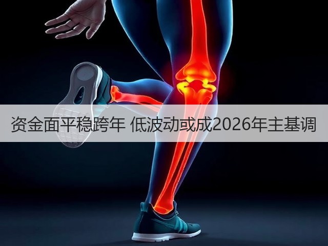 资金面平稳跨年 低波动或成2026年主基调(图2)