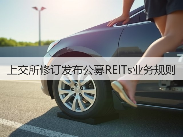 上交所修订发布公募REITs业务规则(图1)