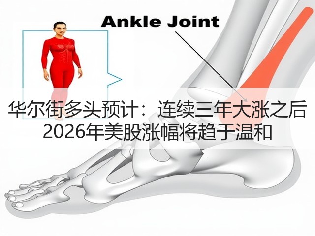 华尔街多头预计：连续三年大涨之后 2026年美股涨幅将趋于温和(图1)