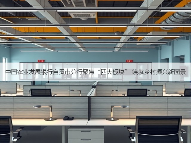 中国农业发展银行自贡市分行聚焦“四大板块” 绘就乡村振兴新图景(图2)
