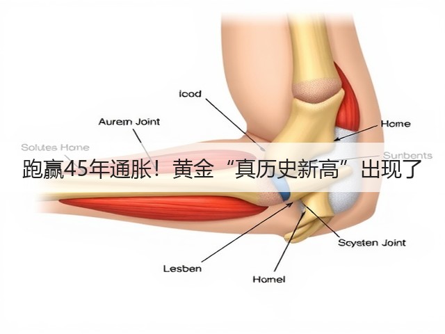 跑赢45年通胀！黄金“真历史新高”出现了(图2)
