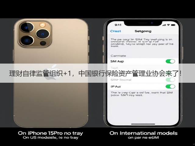 理财自律监管组织+1，中国银行保险资产管理业协会来了！(图2)