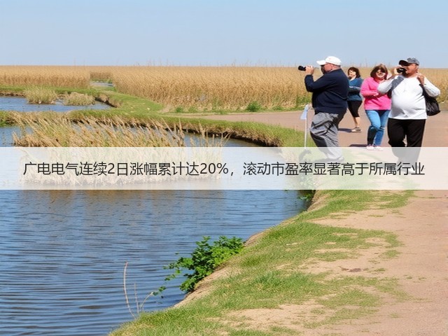 广电电气连续2日涨幅累计达20%,滚动市盈率显著高于所属行业(图2) 广电电气连续2日涨幅累计达20%,滚动市盈率显著高于所属行业(图2)