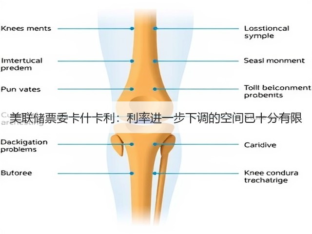 美联储票委卡什卡利:利率进一步下调的空间已十分有限(图2) 美联储票委卡什卡利:利率进一步下调的空间已十分有限(图2)