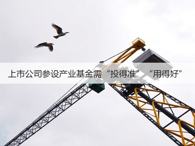 上市公司参设产业基金需“投得准”“用得好”(图1)