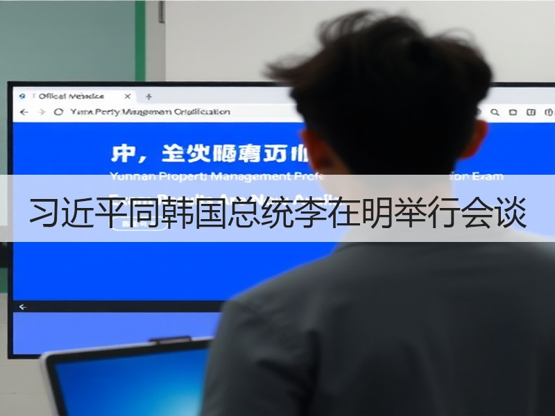 习近平同韩国总统李在明举行会谈