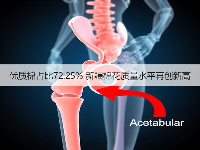 优质棉占比72.25% 新疆棉花质量水平再创新高(图1)