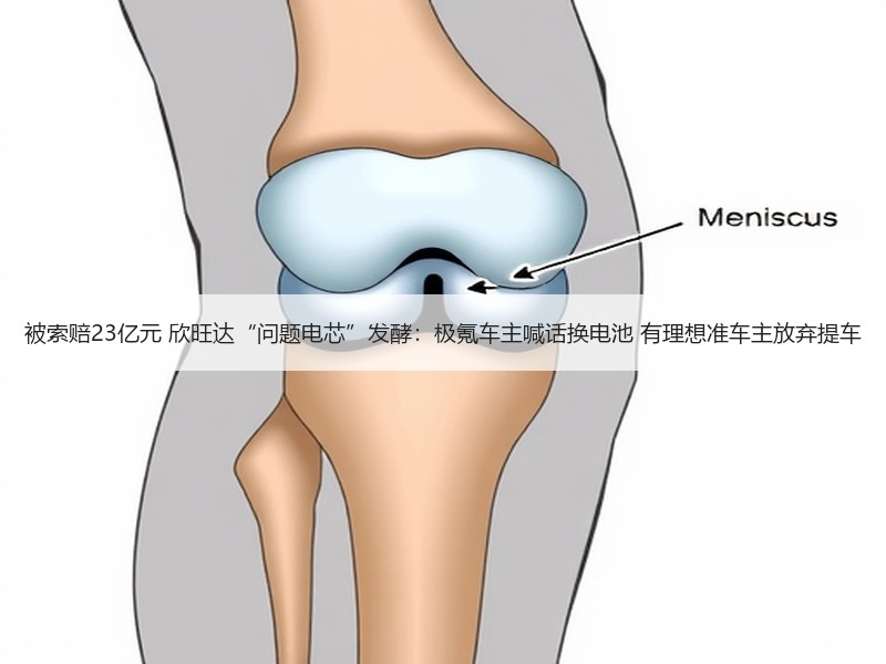 被索赔23亿元 欣旺达“问题电芯”发酵：极氪车主喊话换电池 有理想准车主放弃提车