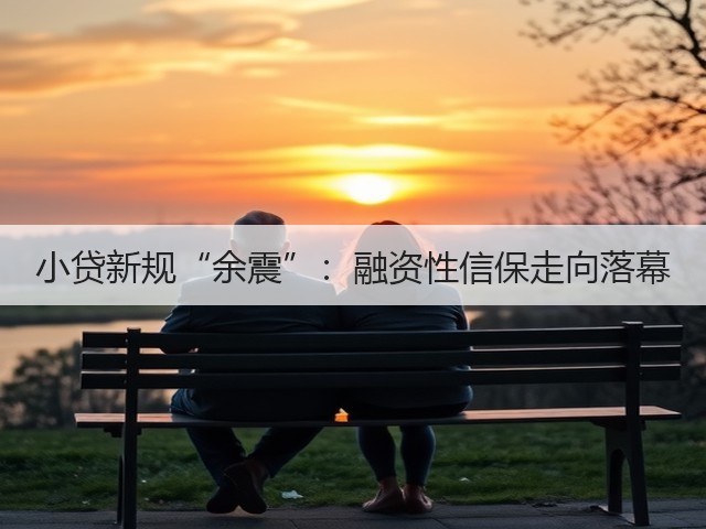 小贷新规“余震”：融资性信保走向落幕(图3)