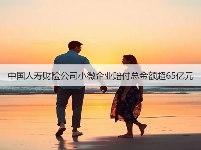 中国人寿财险公司小微企业赔付总金额超65亿元(图2) 中国人寿财险公司小微企业赔付总金额超65亿元(图2)