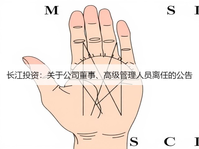 长江投资:关于公司董事、高级管理人员离任的公告(图3) 长江投资:关于公司董事、高级管理人员离任的公告(图3)