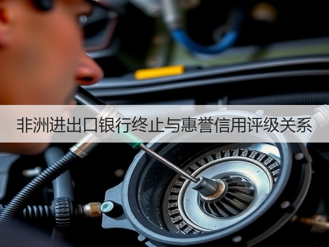 非洲进出口银行终止与惠誉信用评级关系(图2)